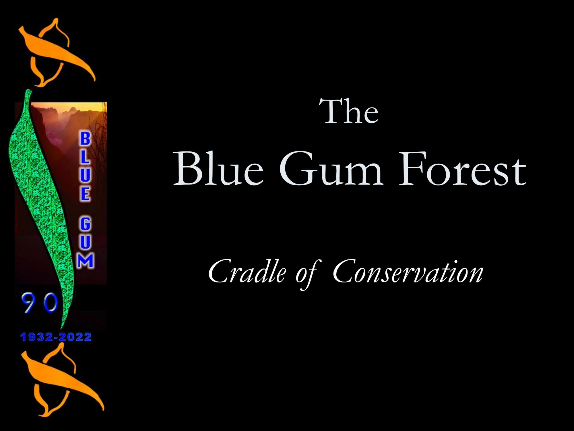 The blue gum forest cradle of conservation