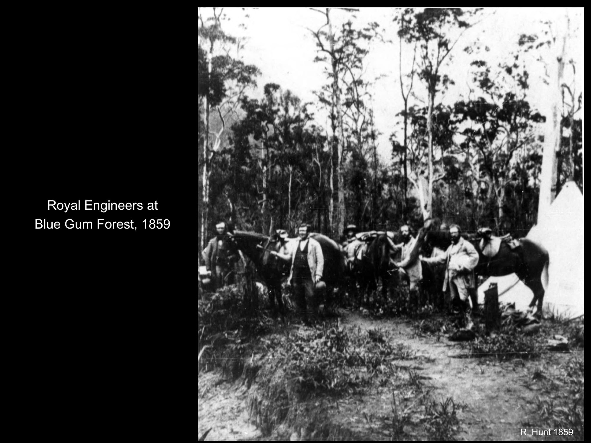 Royal Engineers at the Blue Gum Forest in 1859