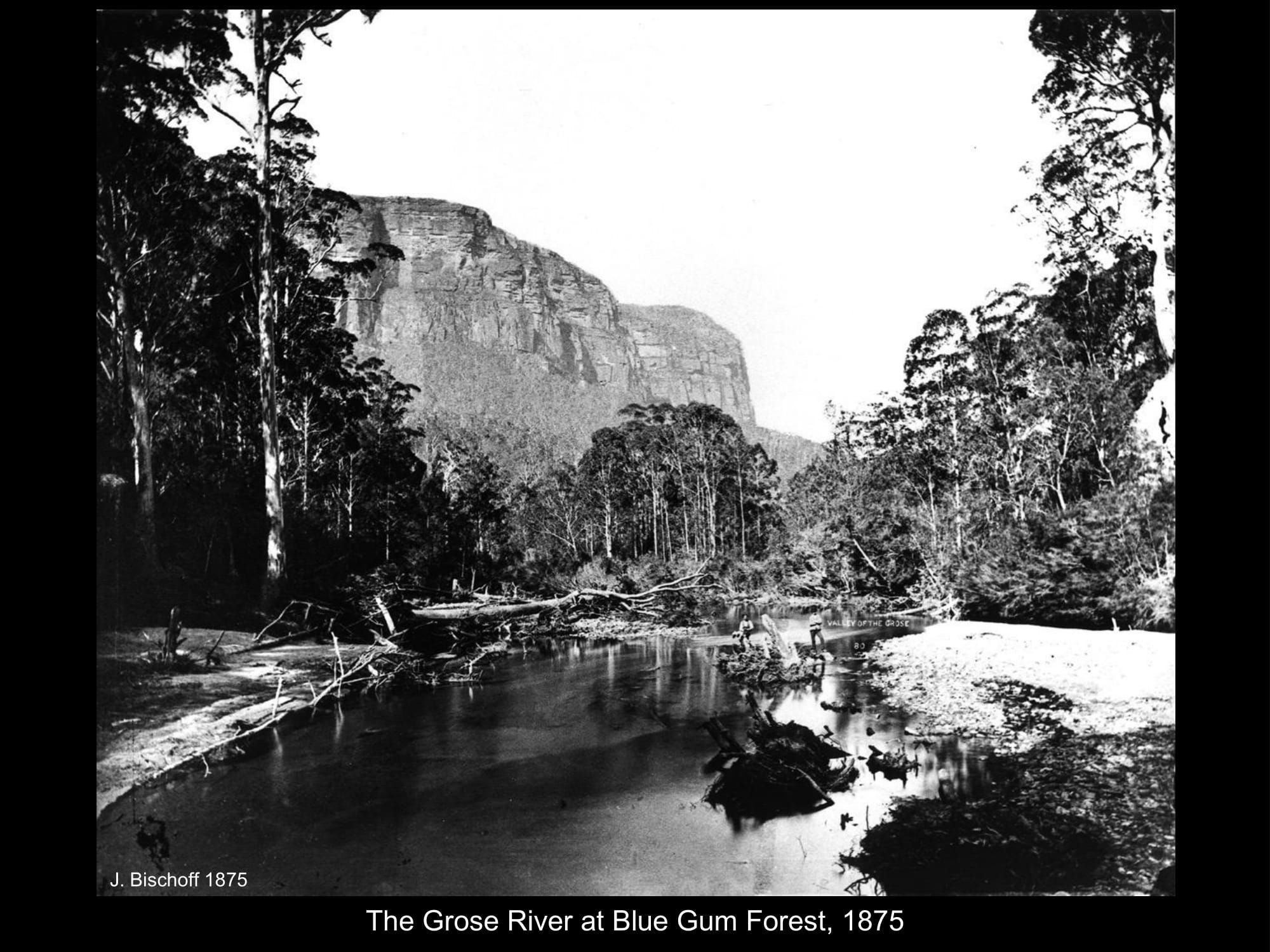 The Grose River in 1875