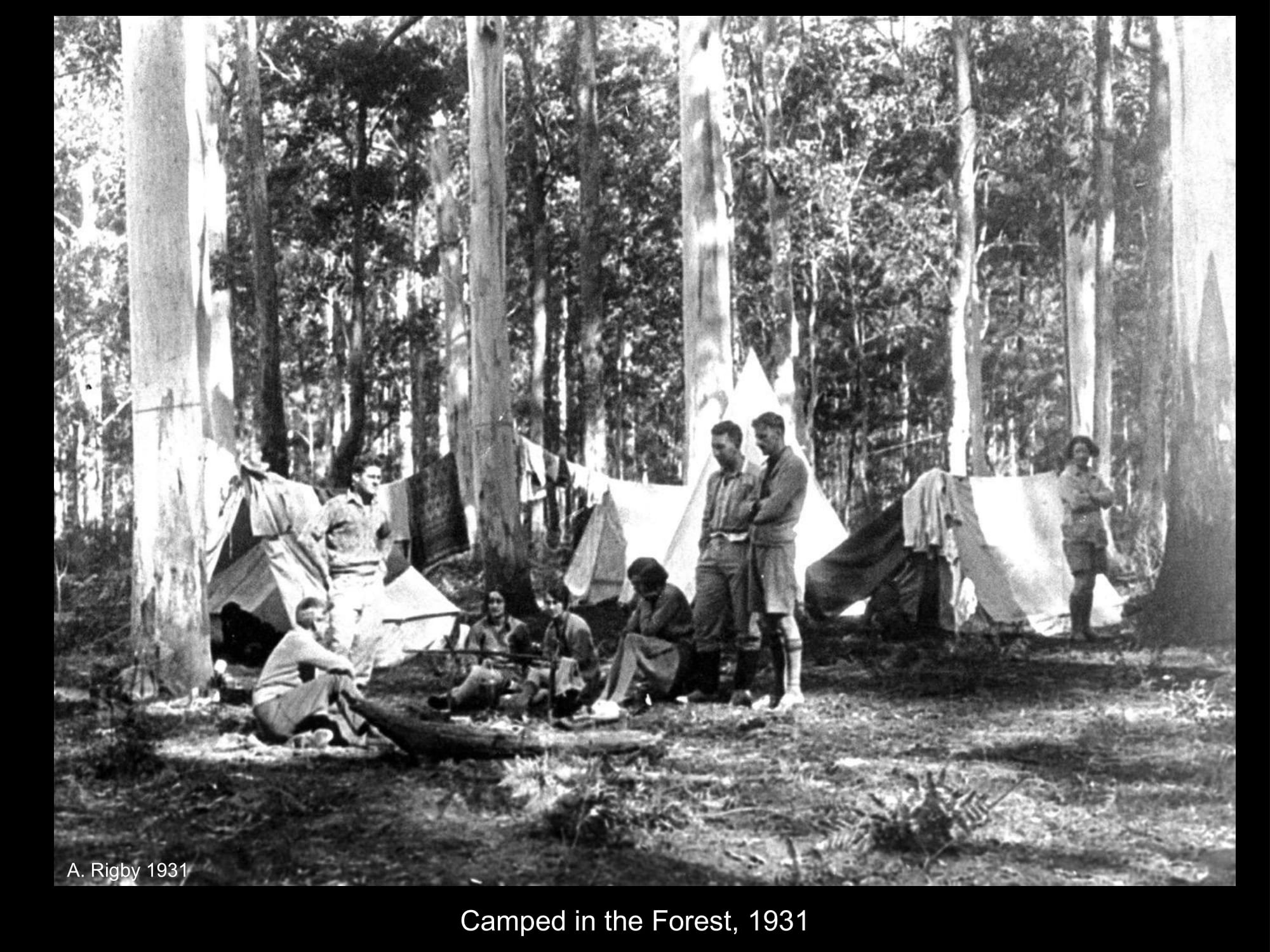 Camped in the forest in 1931