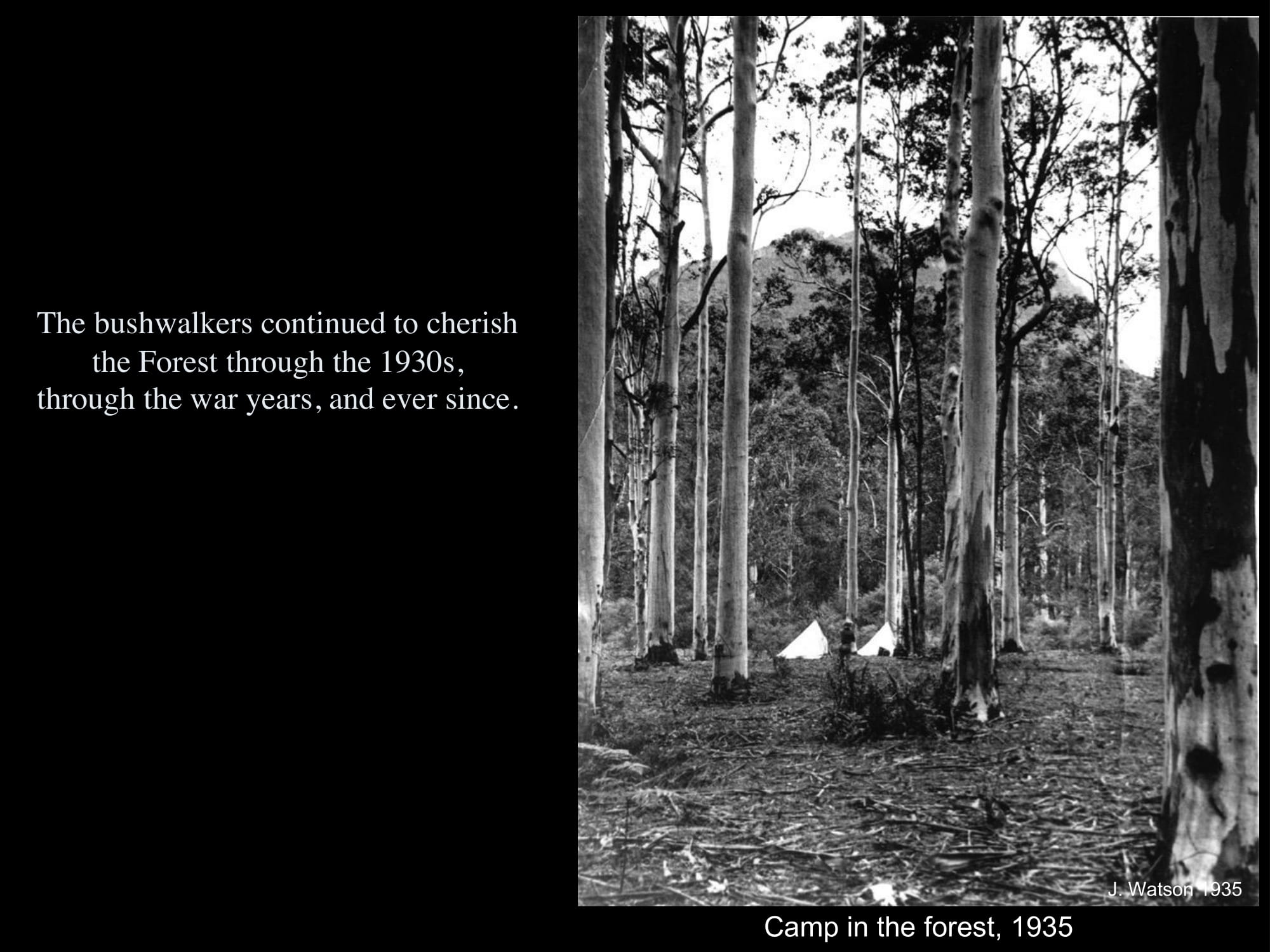 Bushwalkers in the 1930s