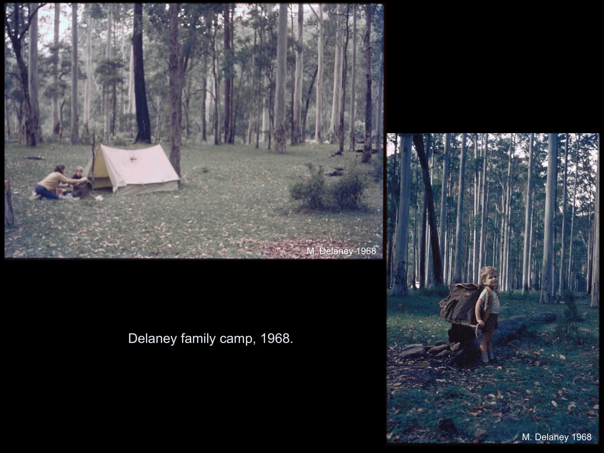 Delaney family camp in 1968