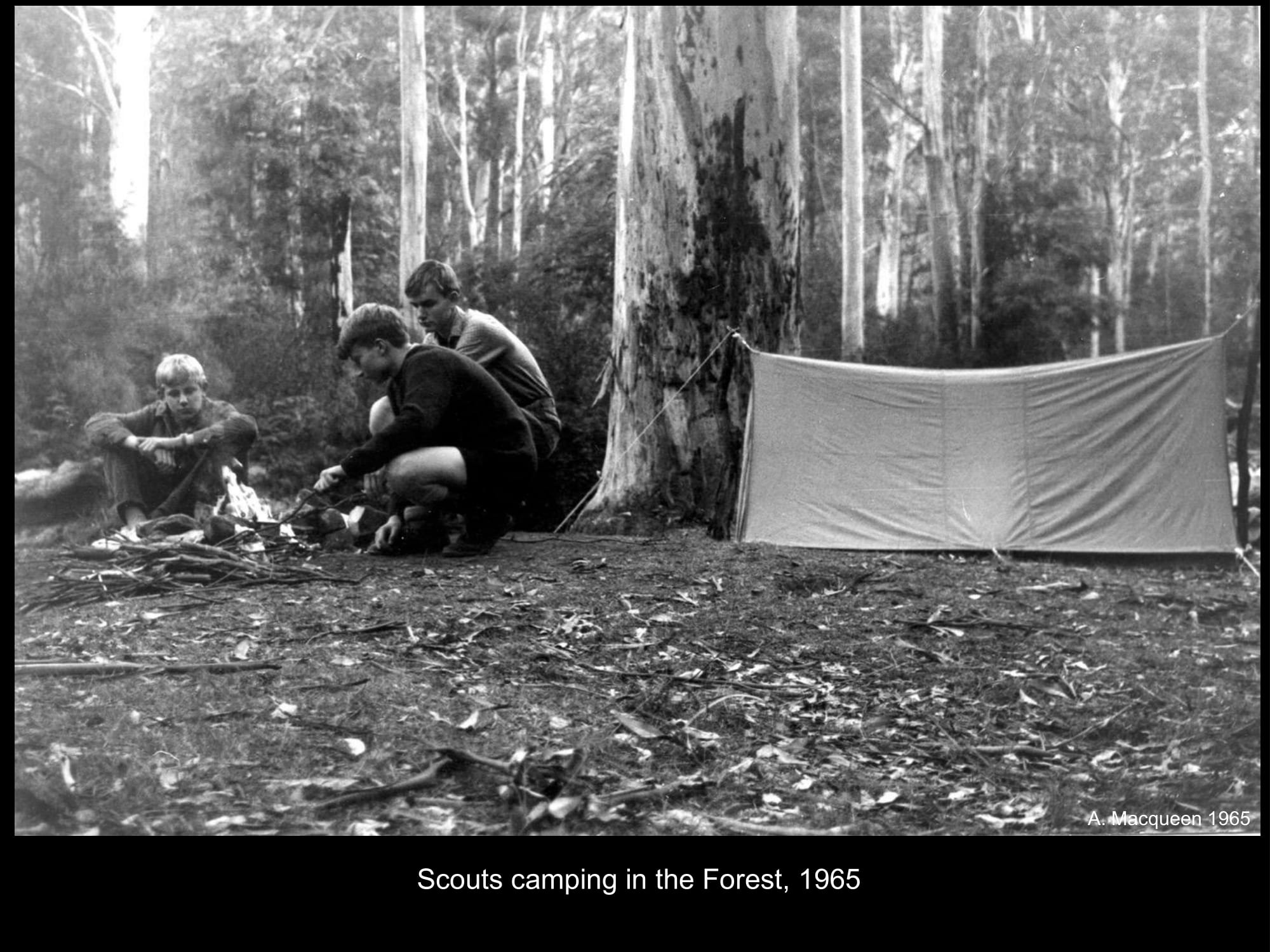 Scouts camping in the forest in 1965