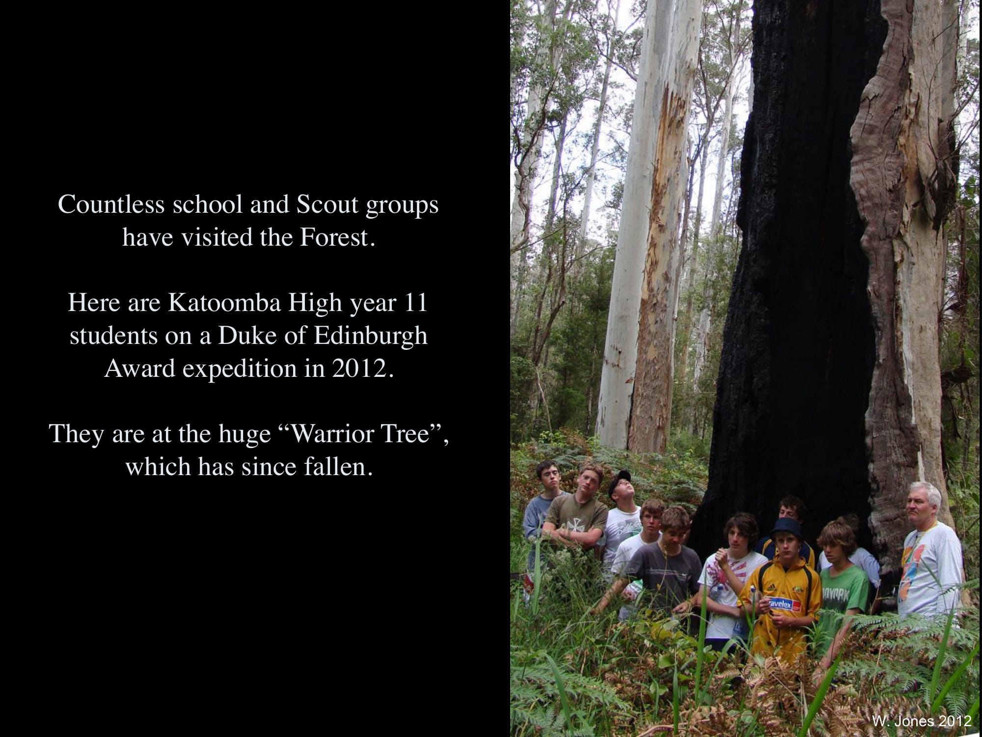 Katoomba High year 11