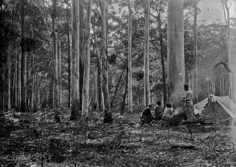 1930 bushwalkers by Alan Rigby