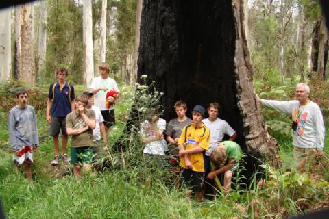 The warrior tree, large burnt tree, with Katoomba High students